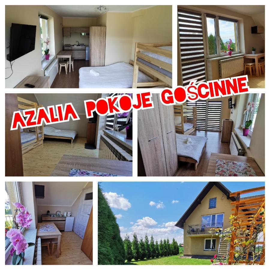 Ferienwohnung Azalia Zator Exterior foto